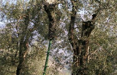 Agriturismo Maso Botes - Foto 54