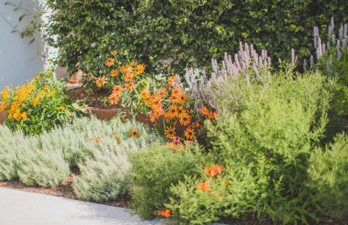 Viereinhalb Eichen - Ferienwohnung am Niederrhein - Foto 44