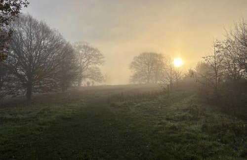 Little Vine Cottage in the grounds of Leeds Castle - Foto 20