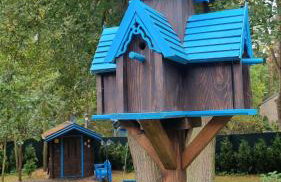 Niezapominajka - Foto 22