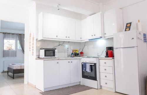 Vereniki 1 - Foto 25