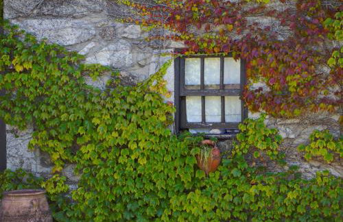 Casa da Reina - Foto 47