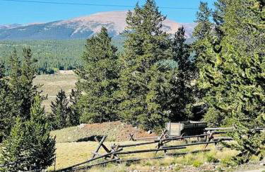 Abandoned Rail Cabin -19 miles to Breckenridge! Hot Tub! - Foto 13