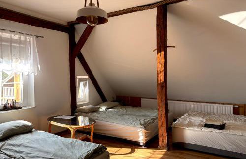 Farma Puchałowo - Foto 37