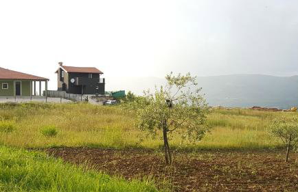 Art House Vižinada - Foto 22