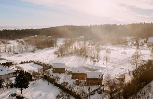 Między Brzozami - Foto 2