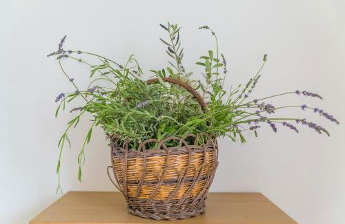 Starhost - La Casella seaview garden terrace and parking - Foto 22