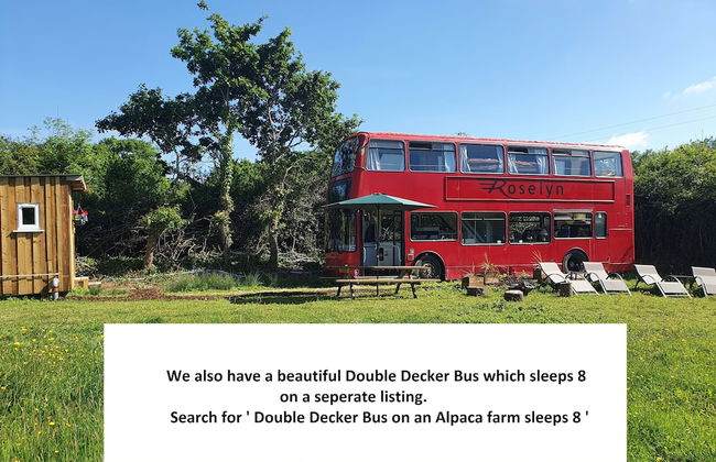 Dartmoor Reach Alpaca Farm - Foto 38