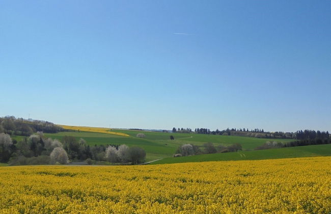 Ferien im Hunsrück - Foto 19