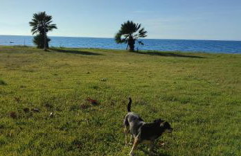 Maria's home - Foto 44