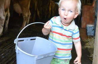 Veiter-Hof - Foto 27