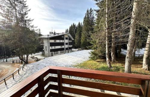 Quadrilocale Alpe Grostè - Serafini - Foto 12