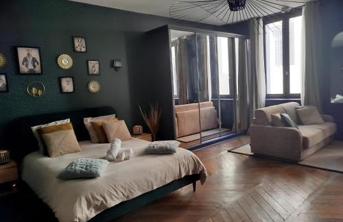 Nancy Vieille Ville Stanislas - Foto 53