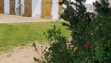 Reitanlage Duffner - Foto 3