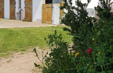 Reitanlage Duffner - Foto 3