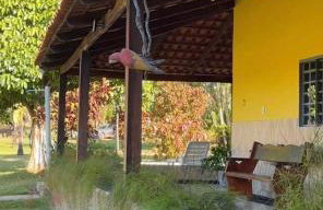 Chacara beira rio - Photo 6