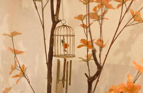 El Ventanal de Collarada - Photo 21