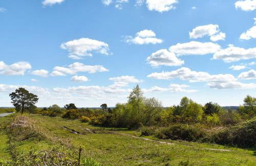 The Dairy - Photo 26