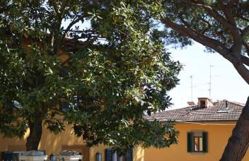 Green Nest Apartments - Photo 25