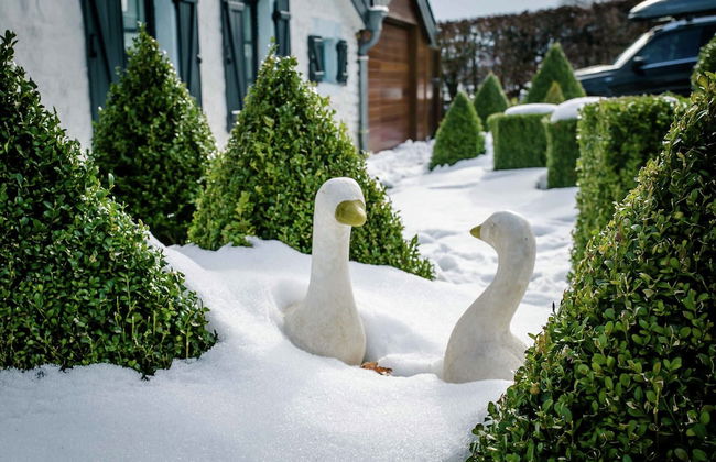 Elsenborn Retreat Near Monschau - Photo 50