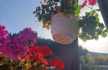 Ferienwohnung Schwarzwald - Foto 11