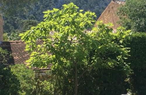 Maison Daumas Billard Français et Piscine - Foto 20