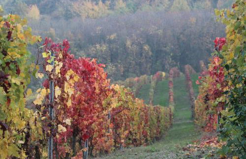 La Terrazza sul Monferrato - Foto 55