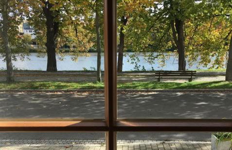 Ferienwohnung am großen Teich - Foto 15