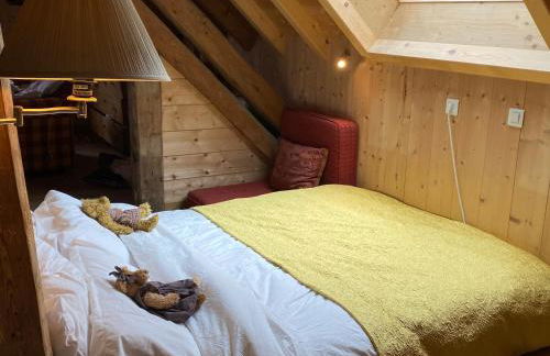 Le Bel appartement de Montagne - Foto 15