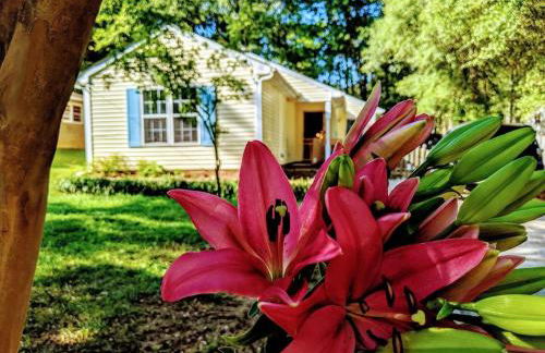 RARE Downtown Matthews walk 2 shops restauraunts hike CLT 2 Bedroom not 3br - Foto 7