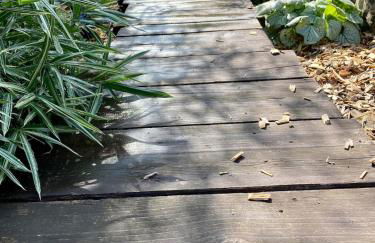 EinKlang - Familienidyll - Foto 43