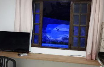 Flor de cacto - Foto 8