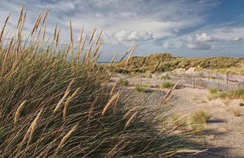 Jack's House - Foto 60