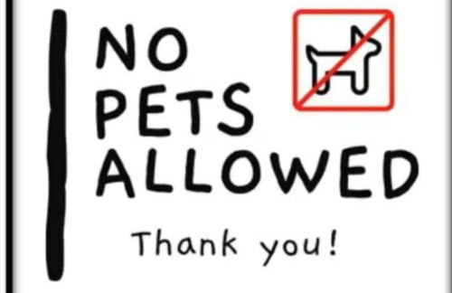 Mickey's Hideaway Condo Near Disney - Foto 16