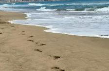 Le Nid Bleu Estartit - Foto 19