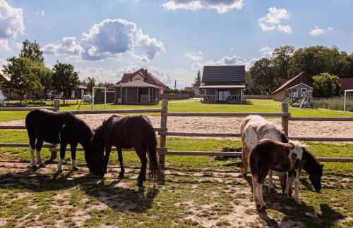 Podlaskie Chatki Ciszą Malowane - Domek nr 1 - Photo 8