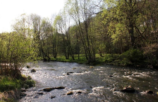 Apartment in Thale by Fishing River - Foto 34