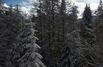 Villa La Brisa - Foto 6