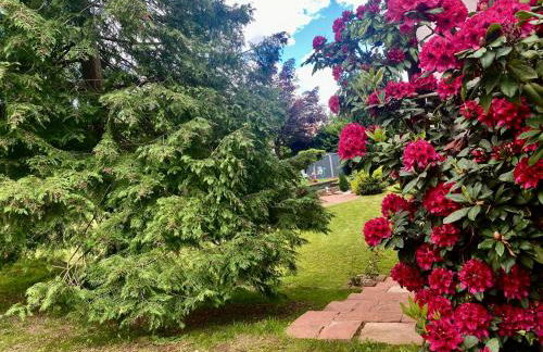 Le Gîte de Brigitte ! - Foto 11