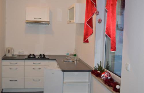 Apartamenty Panorama - Foto 56