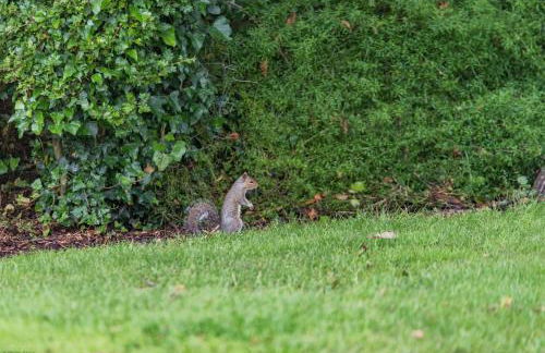 Motor House Loft by Bloom Stays - Foto 25