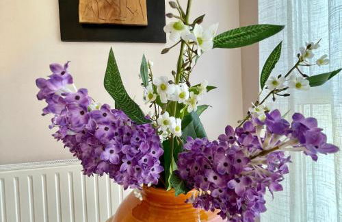 Gîte cosy à Aiguilhe avec jardin, jacuzzi et sauna - proche UNESCO et chemins de randonnée - FR-1-582-354 - Foto 9
