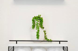 Emerald Sahalee - Capitol Hill -3 bedrooms with free parking - Foto 21