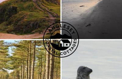 Pauls Place - Foto 30