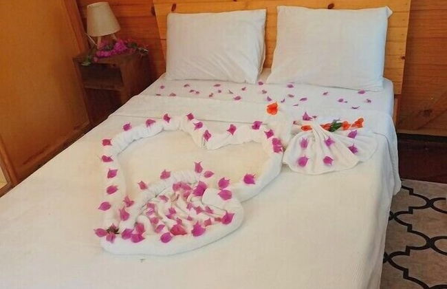 Kelebekler Vadisi Butterfly Valley - Foto 43