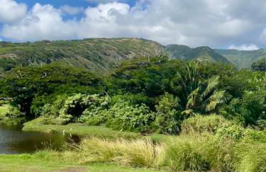 Ka Hale Kealoha - Foto 31