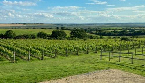 Holly No2 - Uk49254 - Foto 2