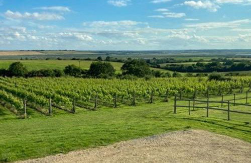 Holly No2 - Uk49254 - Foto 2