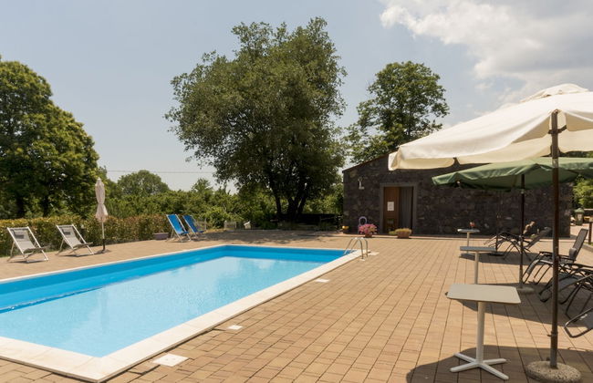 Viola nel Parco - Foto 48