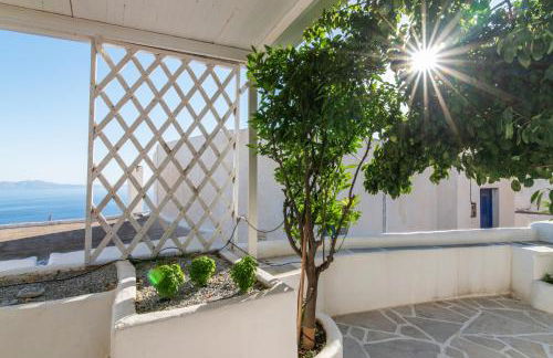 Myroviglia Ysternia - Foto 26